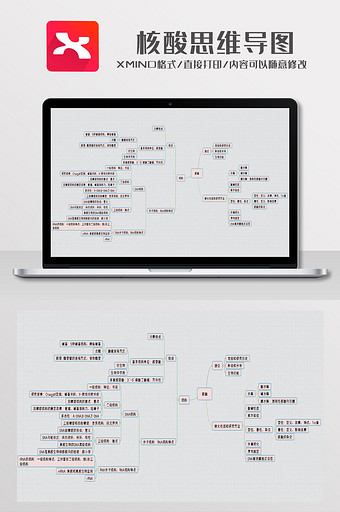 简约风核酸思维导图XMind模板图片
