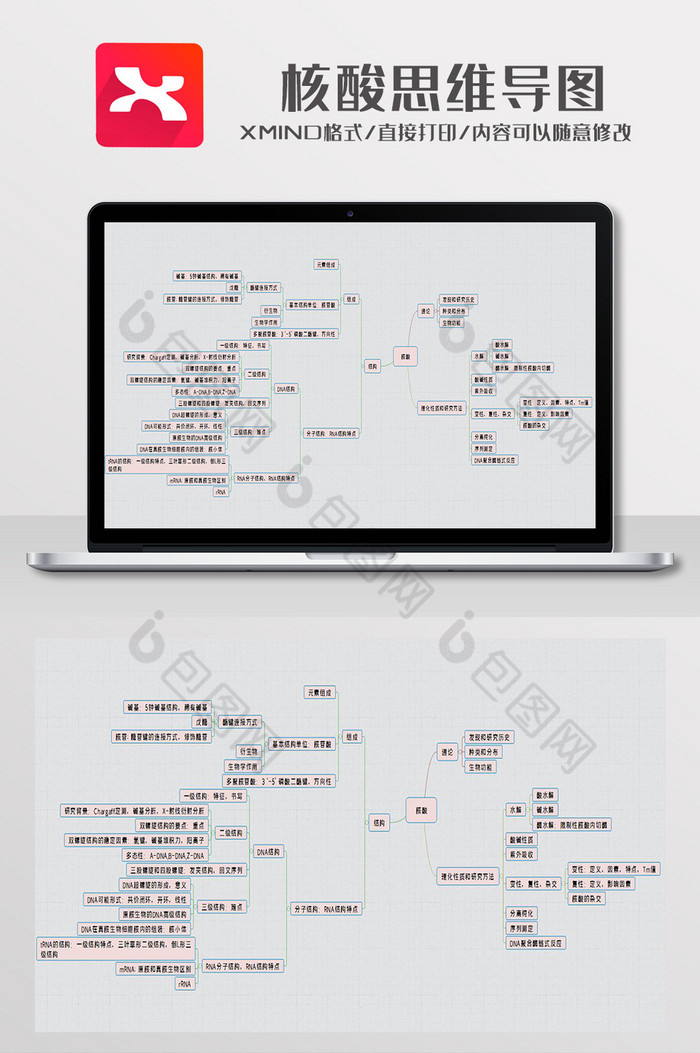 大学核酸思维导图图片