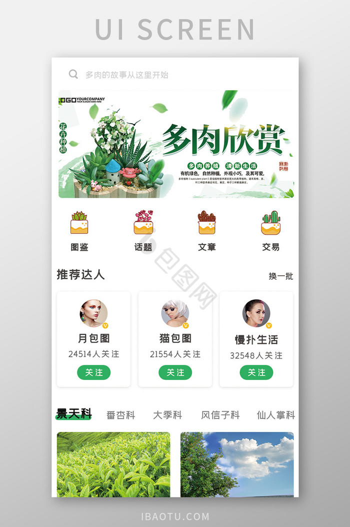 简约多肉植物APPUI移动界面图片