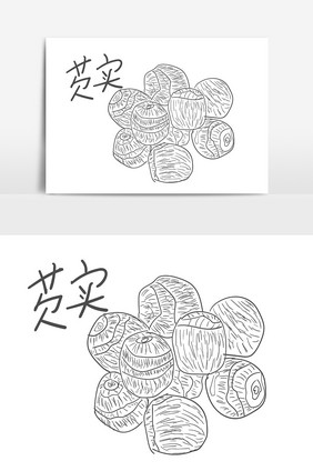 手绘线描中药药材养生芡实插画