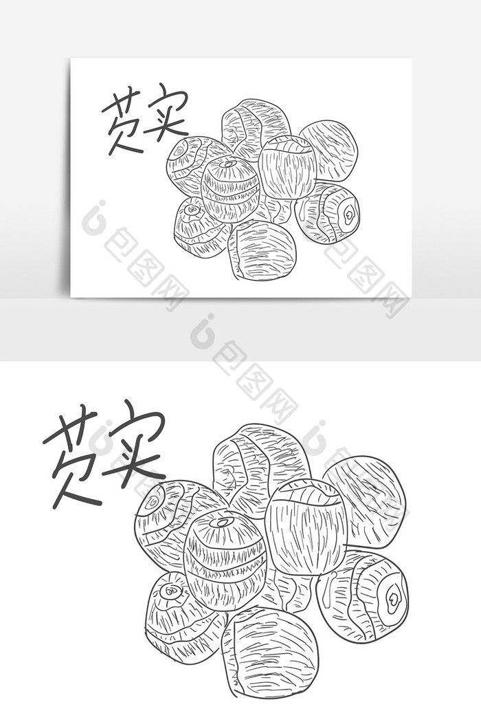 线描中药药材养生芡实插画png下载-包图网