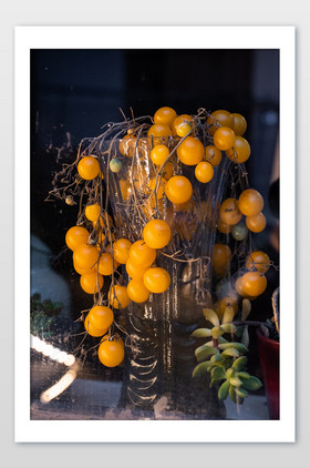 蔬菜小番茄黄色果实累累营养摄影图