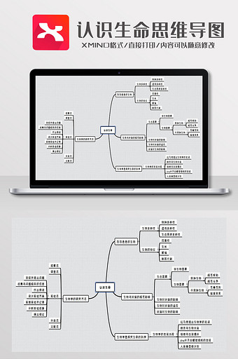 简约风认识生命思维导图XMind模板图片