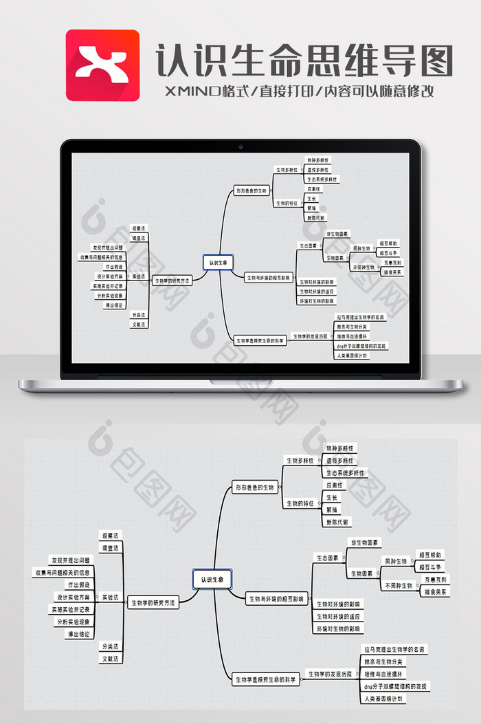 简约风认识生命思维导图XMind模板