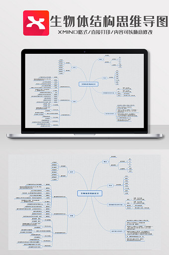 简约风生物体结构思维导图XMind模板图片