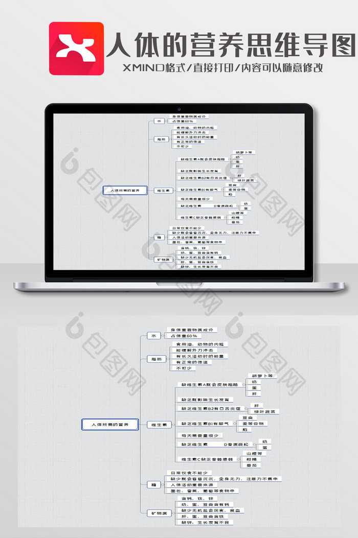 简约风人体所需的营养XMind模板
