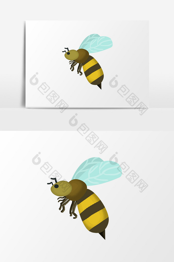 昆虫蜜蜂图片图片