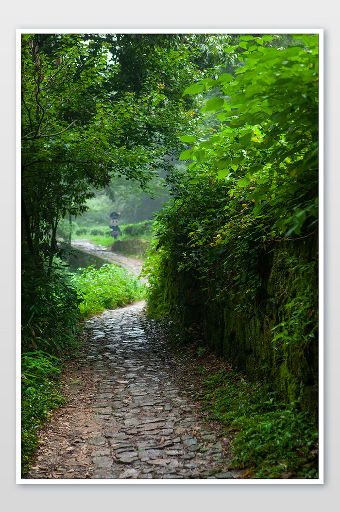 乡村小路石子路道路绿荫路夏日清爽摄影图图片图片