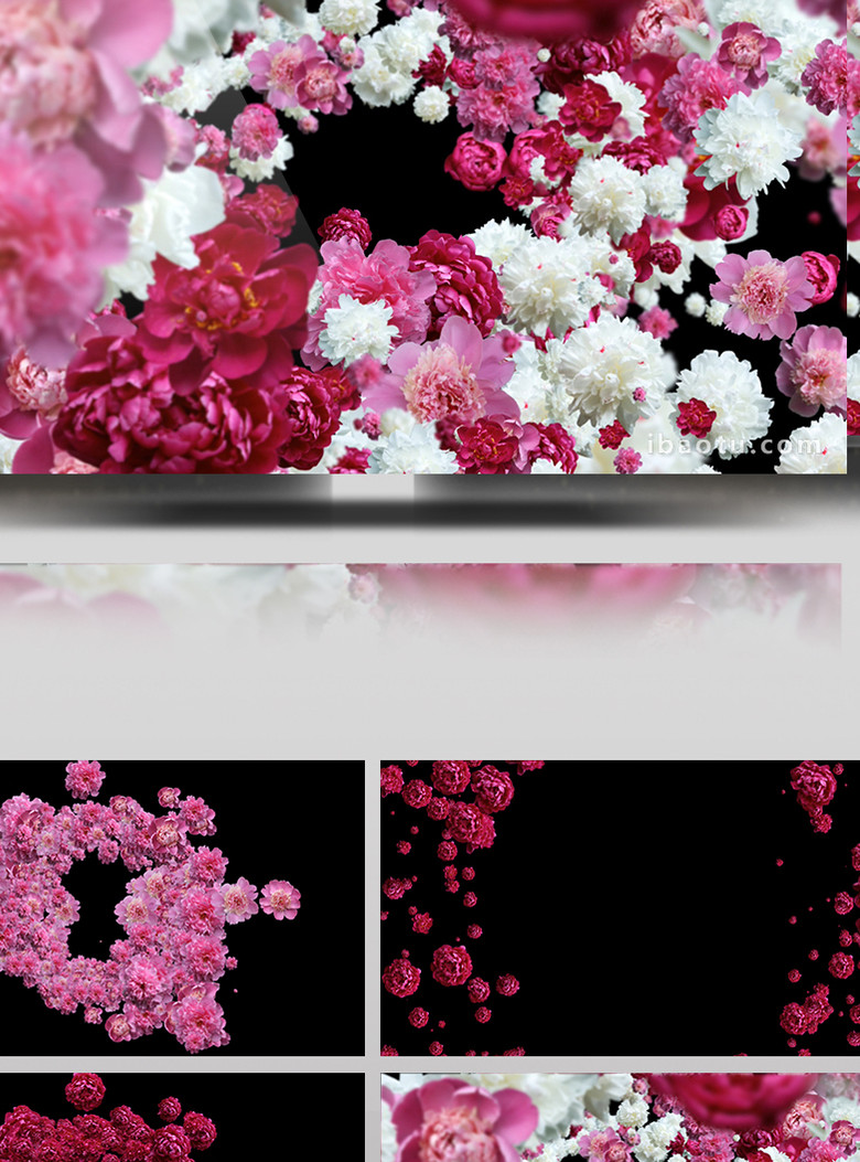 5组带通道牡丹花特效转场视频素材