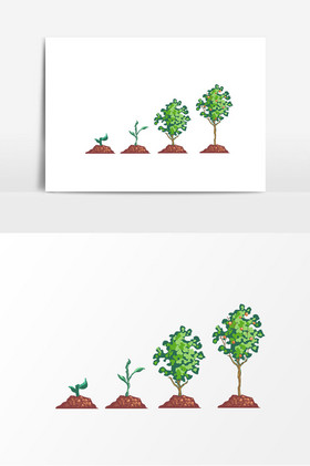 橘子生长过程图片小苗成长过程图片西瓜种子生长过程图片种子发芽过程