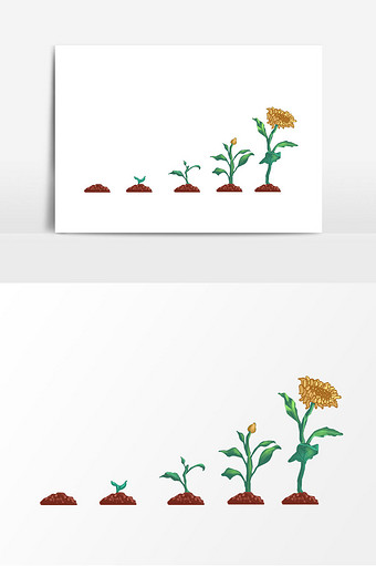 植物生长过程图片 植物生长过程素材 包图网