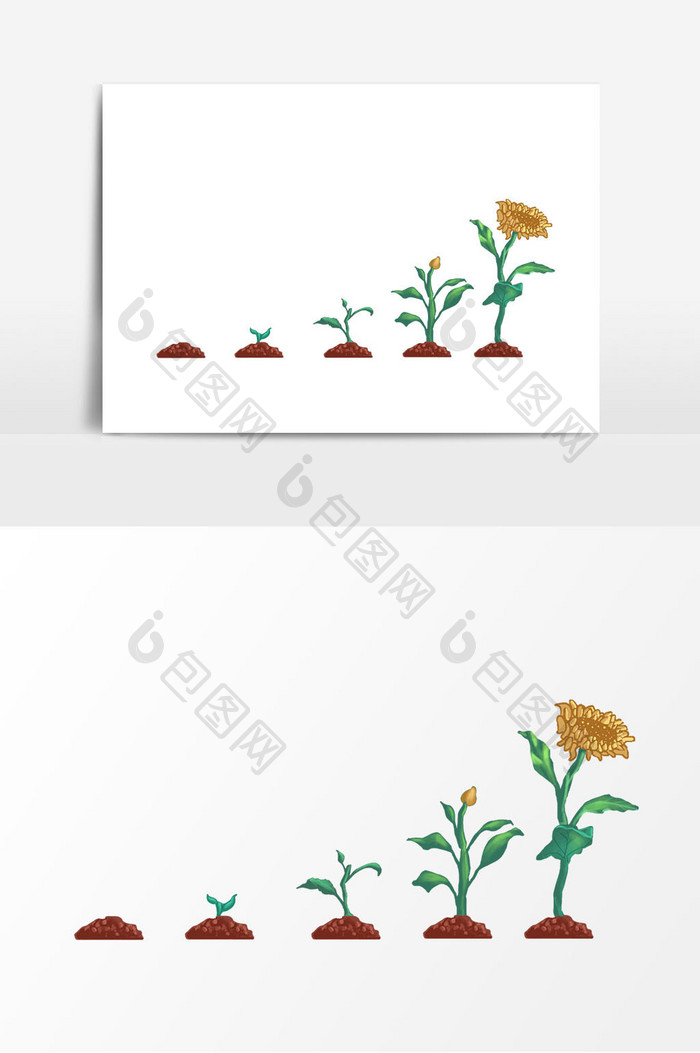 手绘向日葵种子生长过程元素