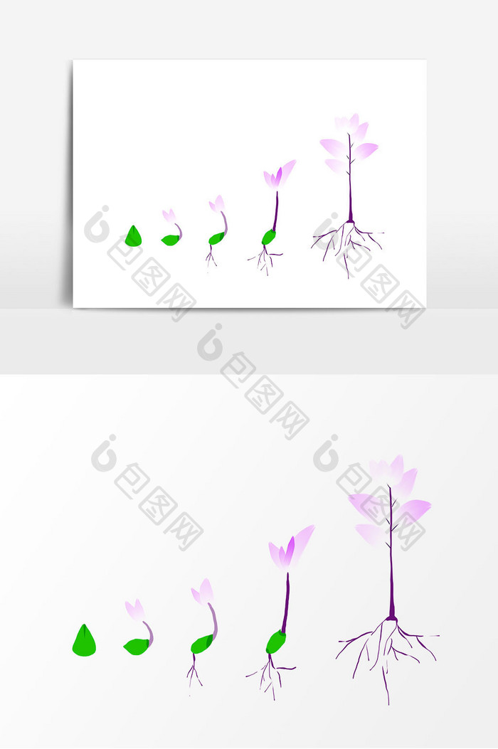 手绘紫色种子生长过程元素
