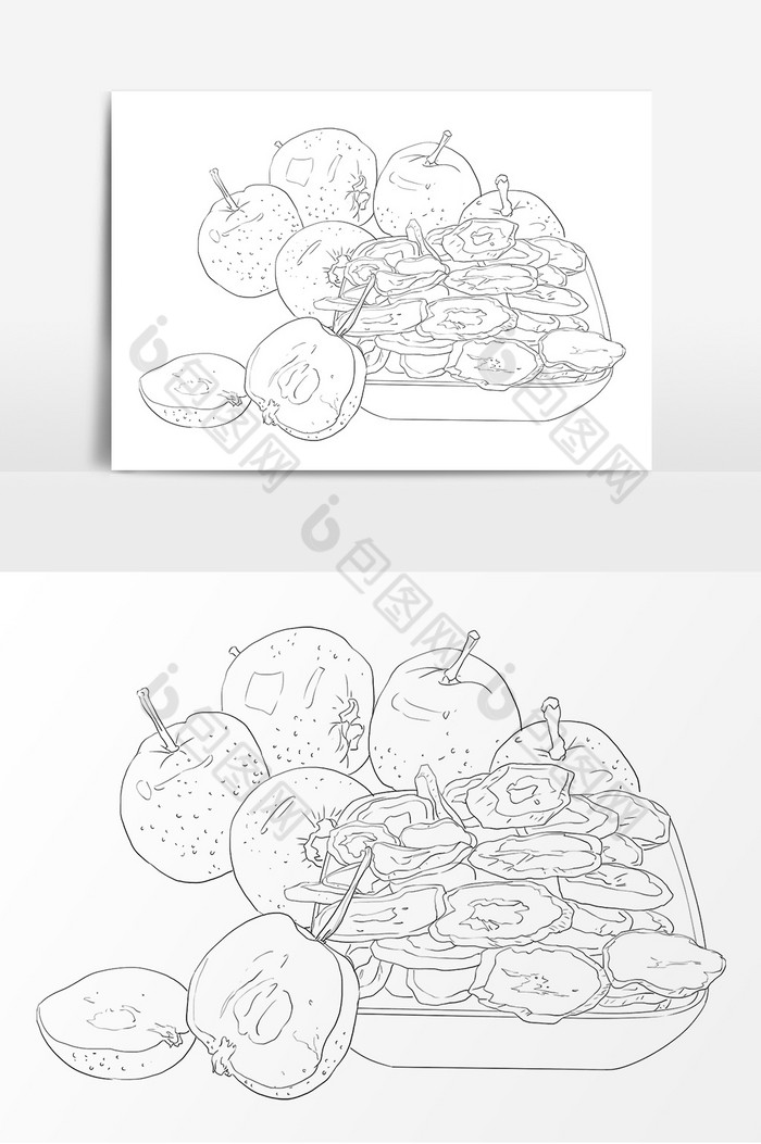 线描植物山楂图片图片