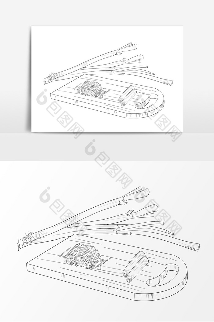 线描中药葱白图片图片