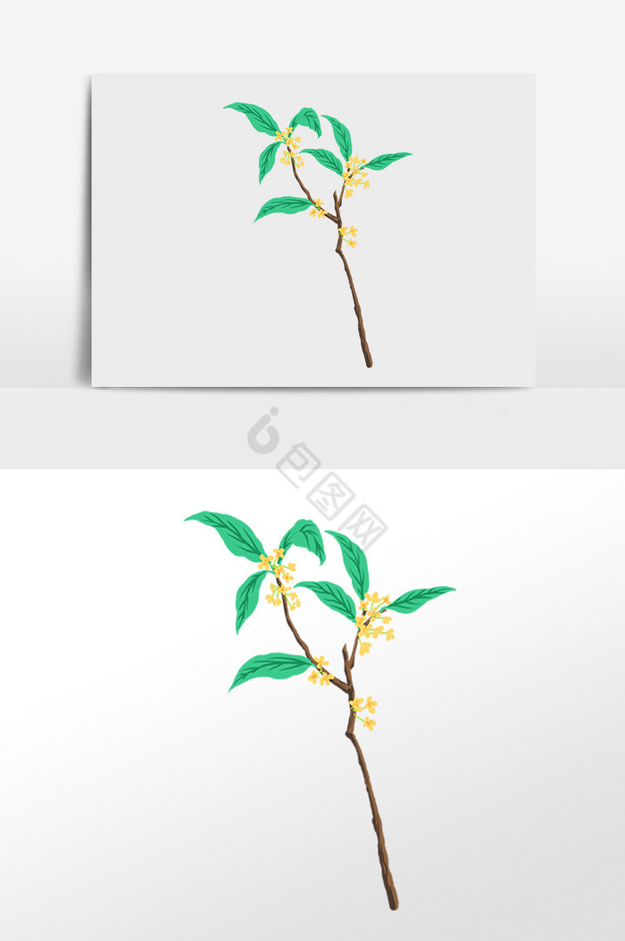 树枝叶枝桂花花枝插画下载桂花酿酒桂花花枝下载寒露桂花花枝酒水下载