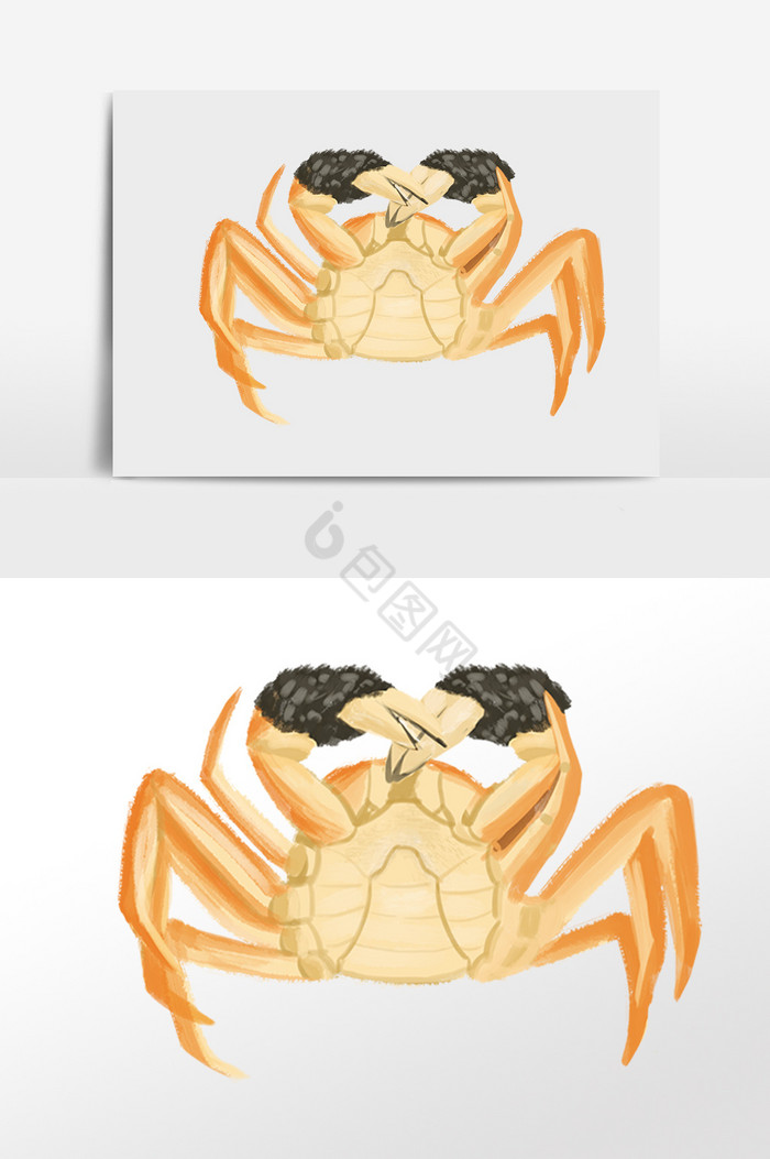 水产海鲜食物大螃蟹插画图片