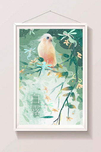 清新白露鹦鹉插画图片