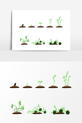 植物生长过程图片 植物生长过程素材 包图网