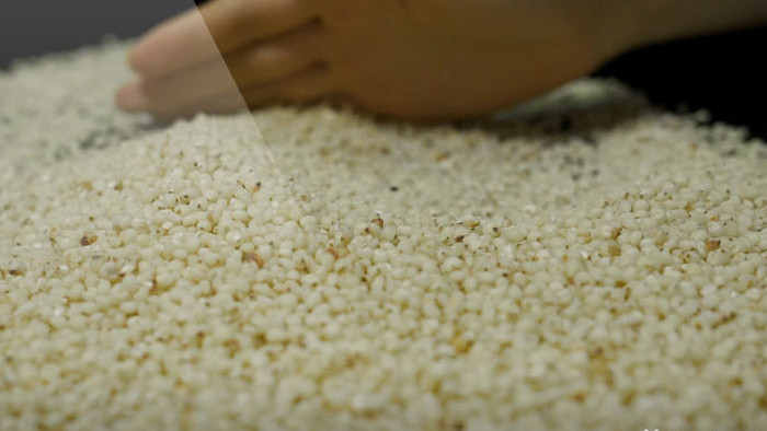 农业农产品高粱米高清实拍视频素材