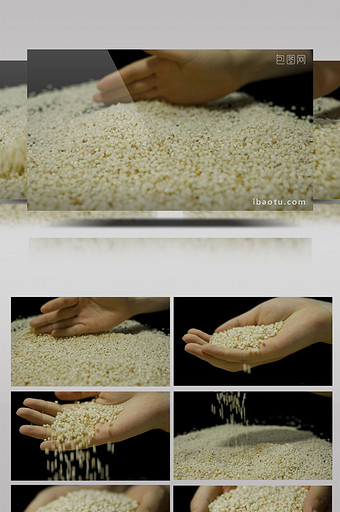 农业农产品高粱米高清实拍视频素材图片