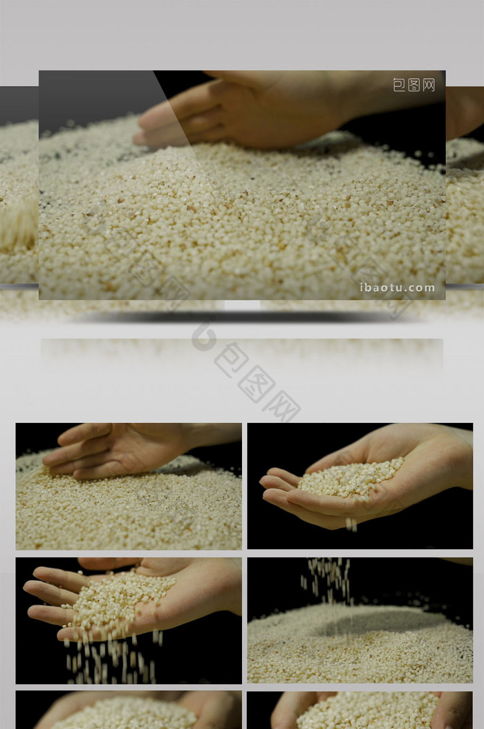 农业农产品高粱米高清实拍视频素材