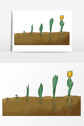 种子开花 卡通图片
