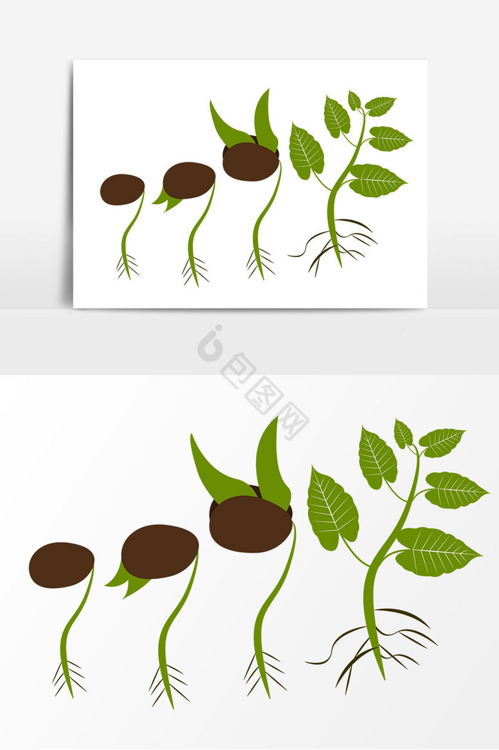 种子发芽过程桃花发芽发芽植物小苗插画种子发芽过程惊蛰春季植物发芽