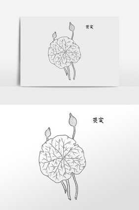 手绘中草药药材中药材芡实插画