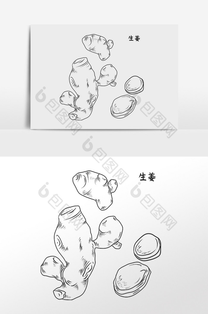 手绘中草药药材中药材生姜插画图片