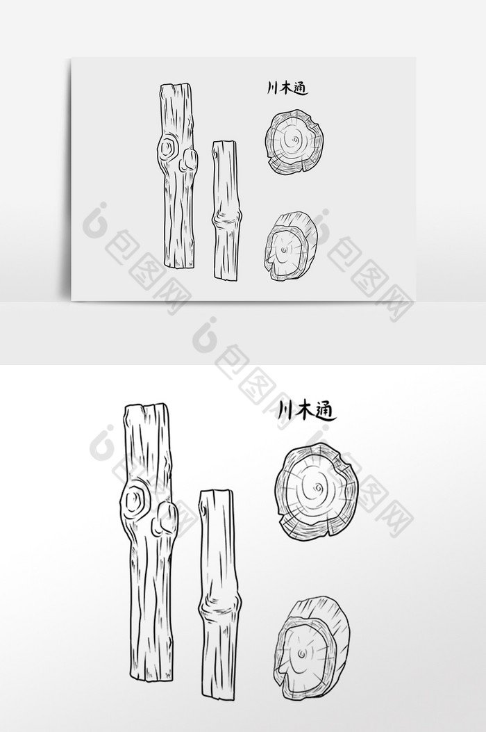 手绘线描中草药中药材川木通插画图片