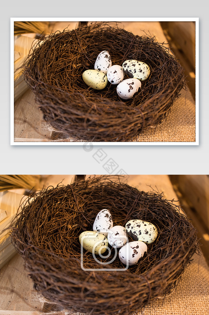 鸟窝多彩鹌鹑蛋装饰手工生态特色图片图片