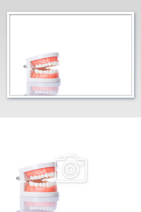 牙齿模型白底摄影图