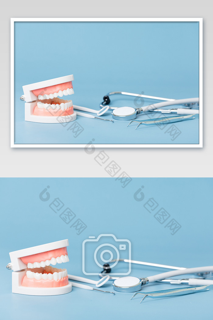 牙齿模型牙齿牙科图片