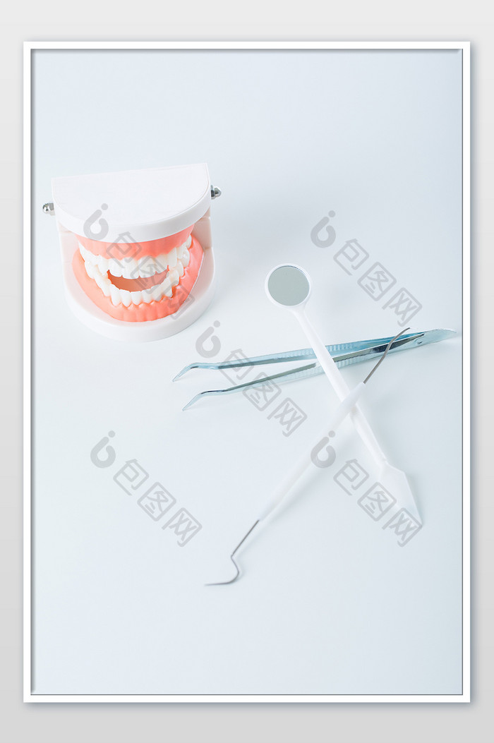 牙医牙齿模型医疗用具摄影图片