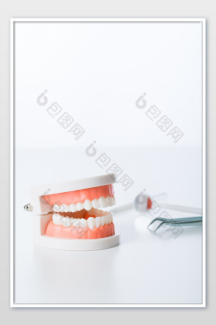 白底牙齿模型牙齿图片