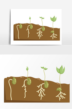 菜豆种子萌发阶段装饰元素高清图片手绘种子发芽阶段装饰高清图片手绘