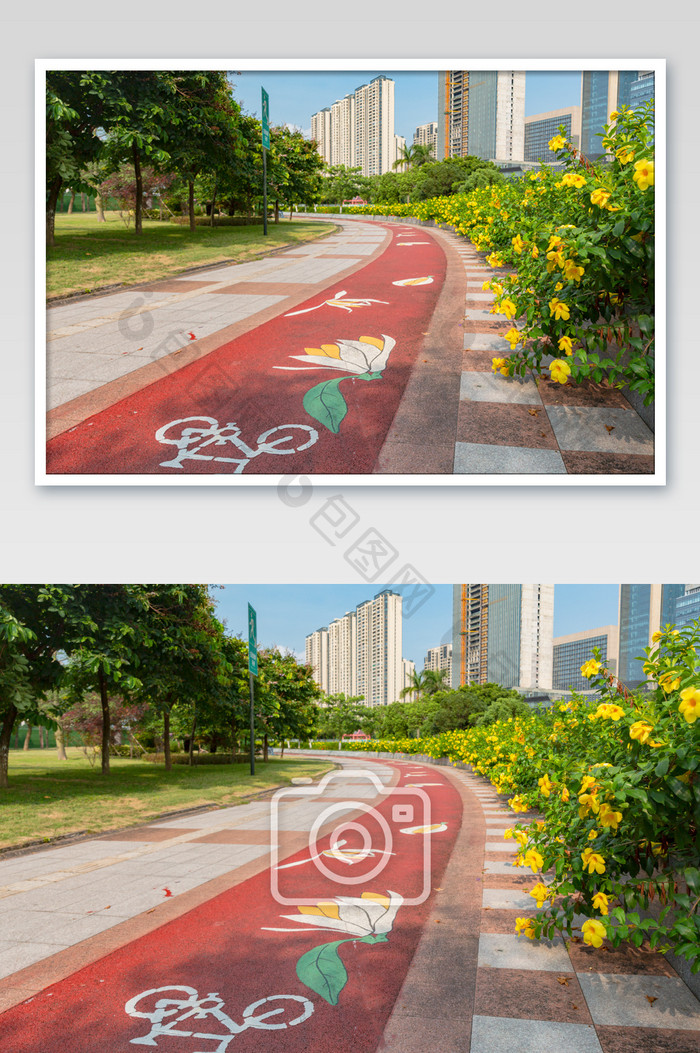公园自行车绿道素材图