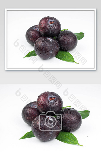清新的夏季黑布林水果摄影的图图片
