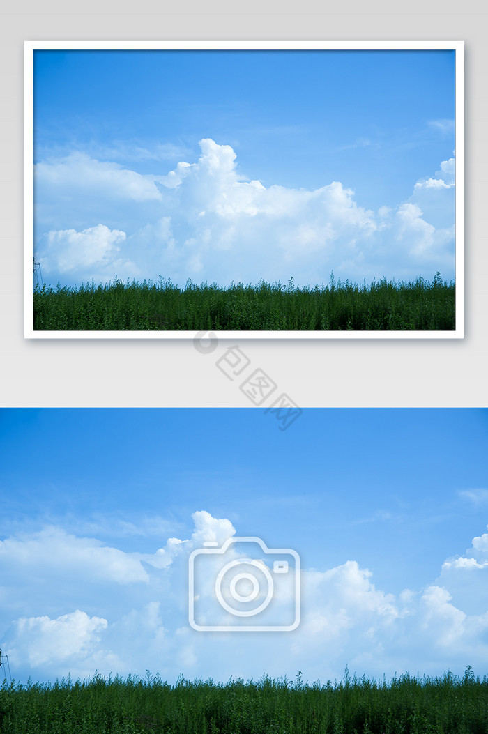 草地蓝天白云好天气图片