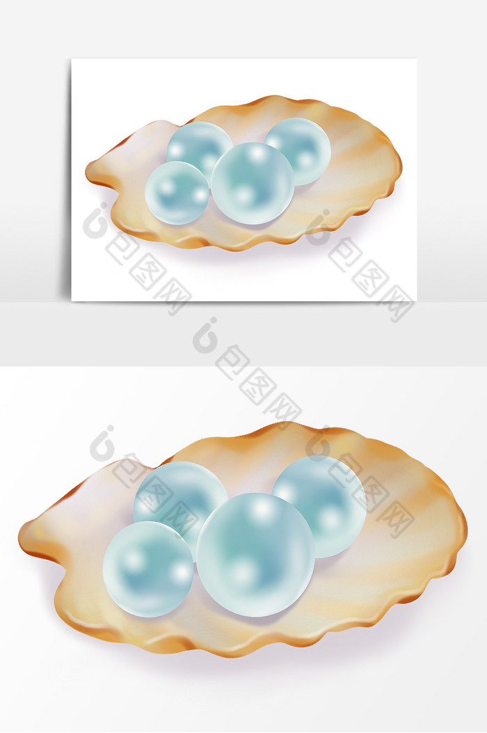 珍珠贝壳图片图片