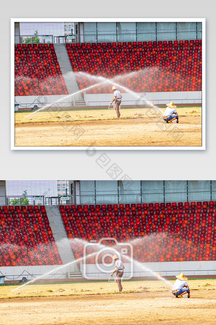 体育场农民工足球场浇水灌溉修剪摄影图图片图片