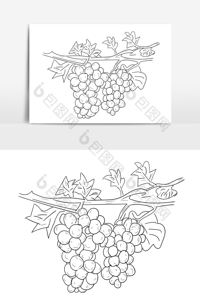 手绘葡萄藤线描节日水果葡萄矢量AI