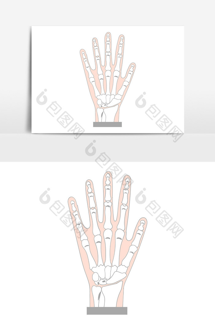 手绘黑白线条人体骨骼骨架手掌骨AI矢量