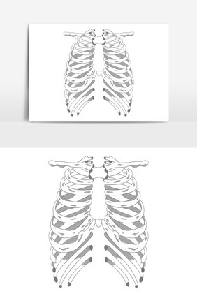 手绘黑白线条人体骨骼骨架胸腔骨AI矢量