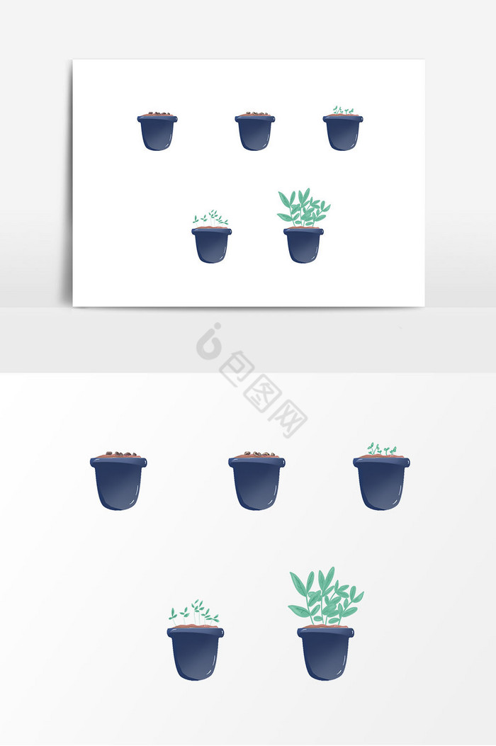 植物盆栽生长过程图片