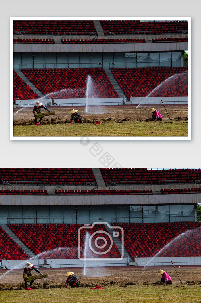 工人足球场绿植草地种植修整摄影图