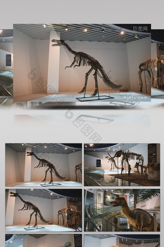 科普教育恐龙化石雕像展览展厅古生物骨骼
