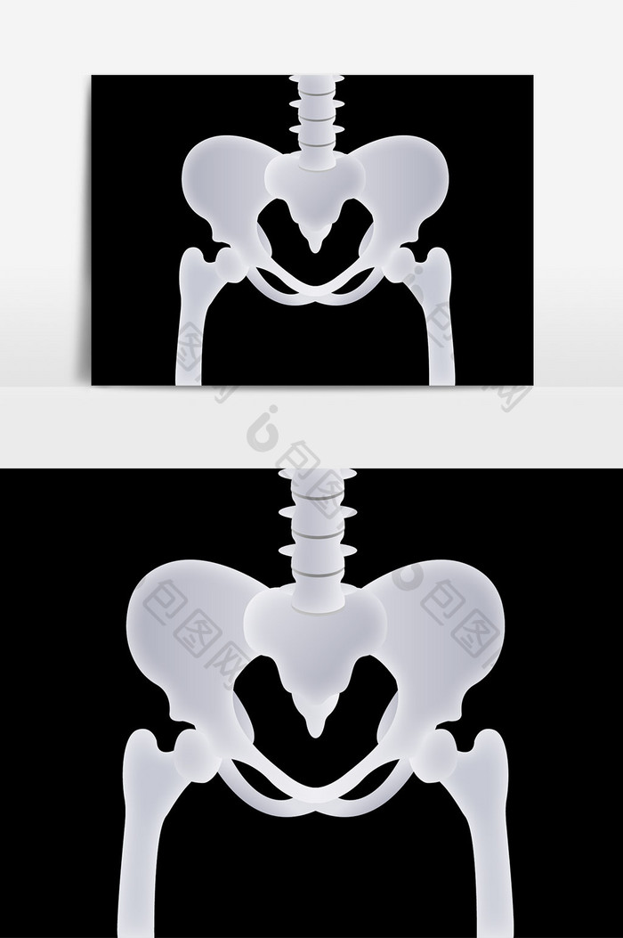 扁平透气渐变拟真风格人体骨骼盆骨元素