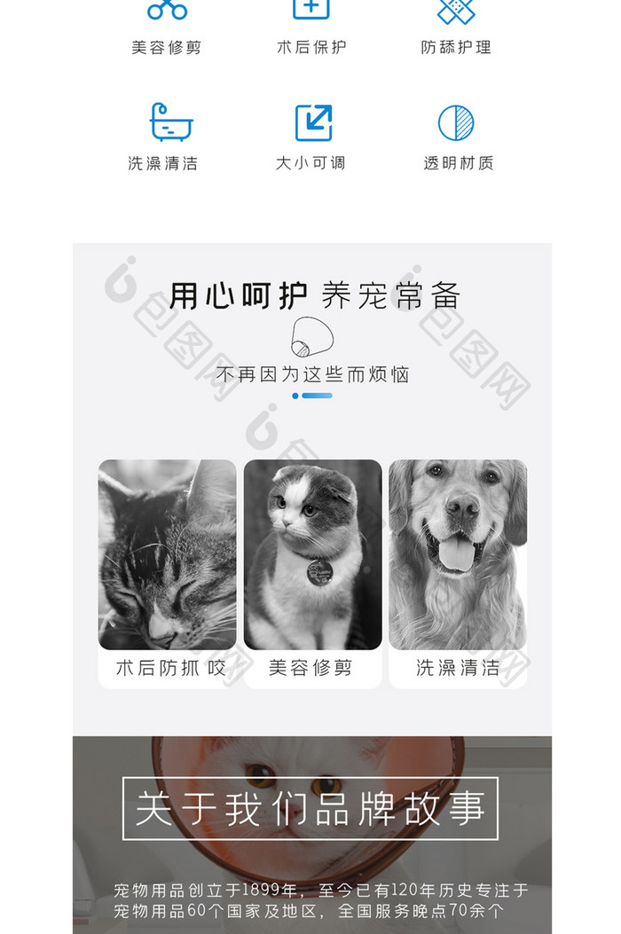 猫咪头套伊丽莎白圈软套头罩电商淘宝详情页